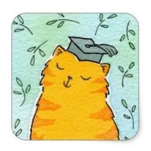 Meet your Posher, Candy